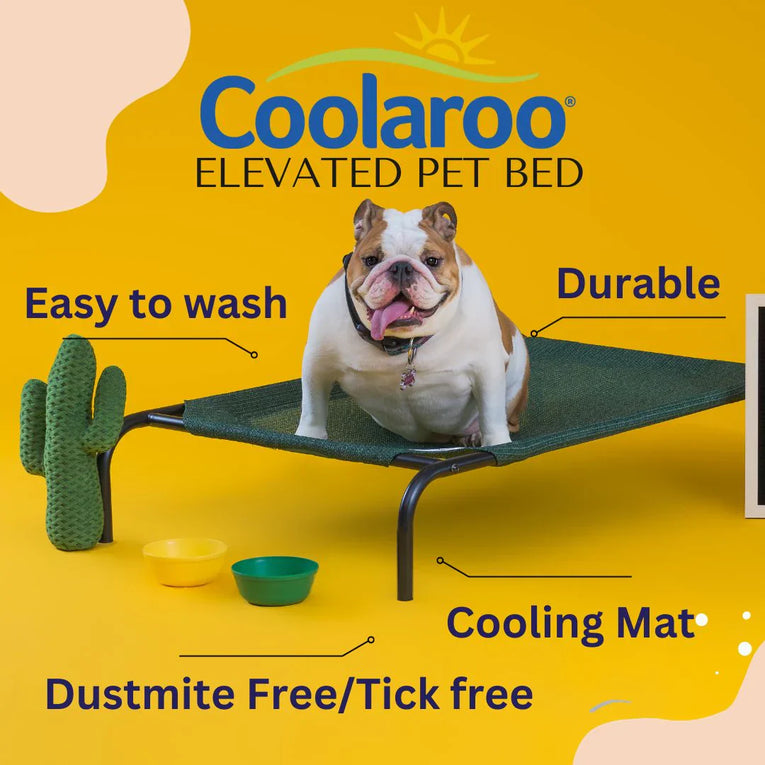 How to Assemble Your Coolaroo Original Elevated Pet Bed: A Simple Step-by-Step Guide