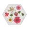 Jojomama Hexagon Bloom Coaster - Set of 2