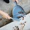 Eco Basics Dustpan & Brush Set