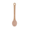 Eco Basics Spoon