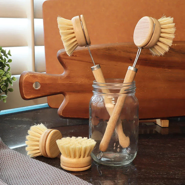 Eco Basics Plastic Free Dish Brush Refill