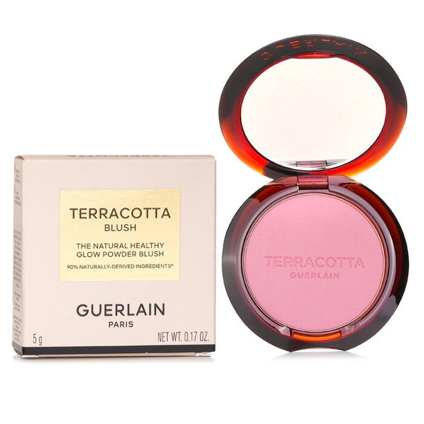 Terracotta Blush - # 01 Rose Clair/ Light Pink - 5g